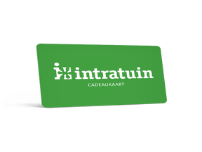 Intratuin