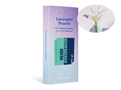 Lavendel Pracht met Hieperdepiep hoera Primera Keuze Cadeaukaart