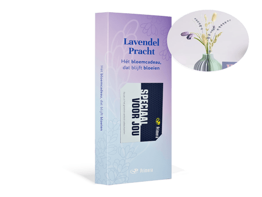 Lavendel Pracht met Speciaal voor jou Primera Keuze Cadeaukaart