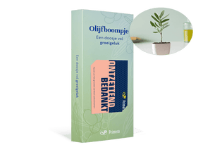 Olijfboom met Ontzettend bedankt Primera Keuze Cadeaukaart