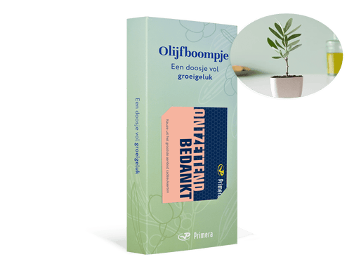 Olijfboom met Ontzettend bedankt Primera Keuze Cadeaukaart
