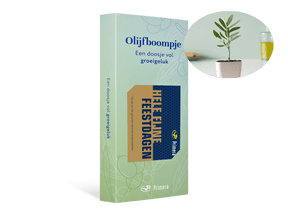 Olijfboom met Fijne Feestdagen Primera Keuze Cadeaukaart