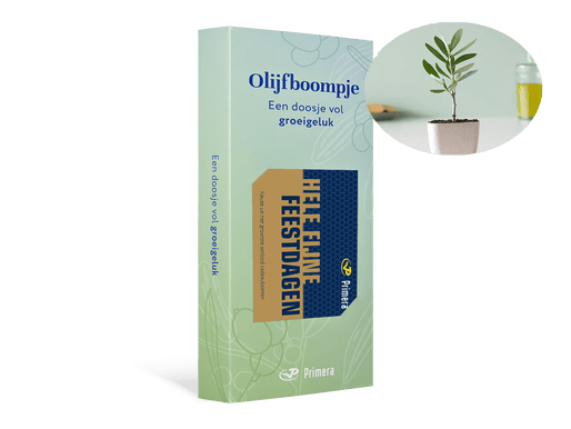 Olijfboom met Fijne Feestdagen Primera Keuze Cadeaukaart