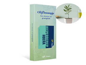 Olijfboom met Hieperdepiep hoera Primera Keuze Cadeaukaart