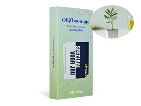 Olijfboom met Speciaal voor jou Primera Keuze Cadeaukaart